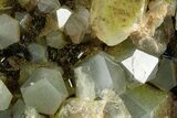 Sparkling Dark Green Epidote Crystals with Quartz - Turkey #303456-1